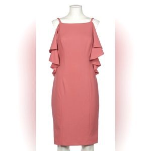 Brand new rose colored Adrianna Papell dress! Perfect for Spring/Summer!